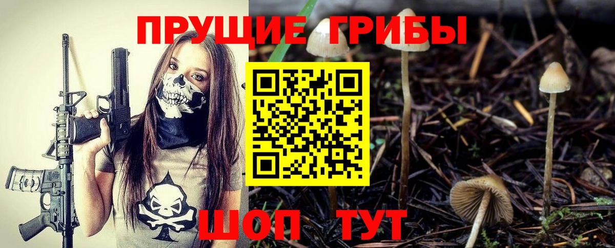 Псилоцибиновые грибы прущие грибы  купить закладку  Великий Новгород  Вход с VPN 