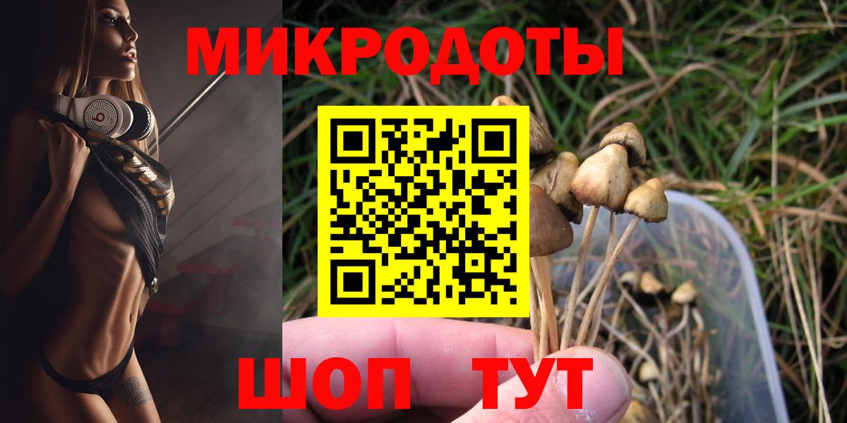 Галлюциногенные грибы мицелий Великий Новгород